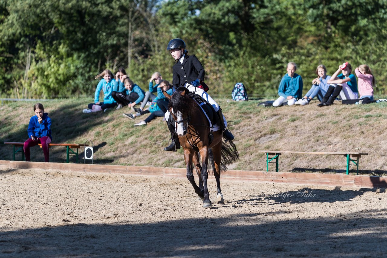 Bild 85 - Pony Akademie Turnier